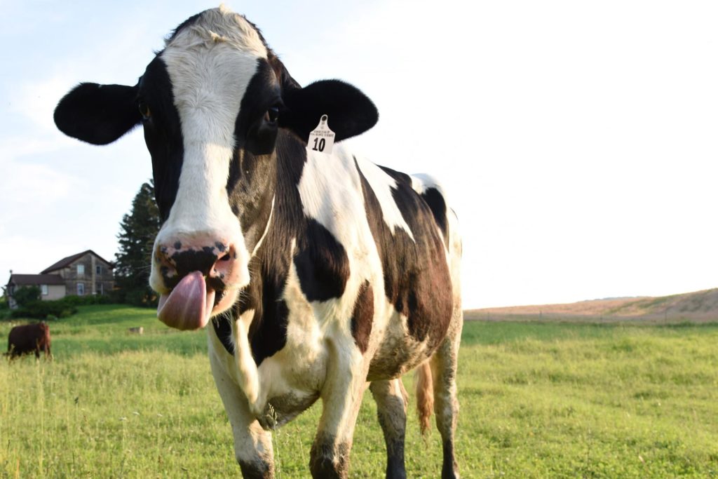 Wisconsin Livestock Identification Consortium